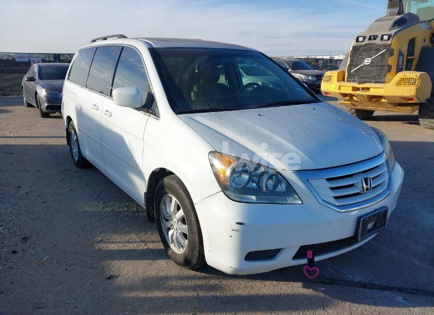 Photo 6 of 2009 Honda Odyssey EX-L (VIN 5FNRL38689B401478)