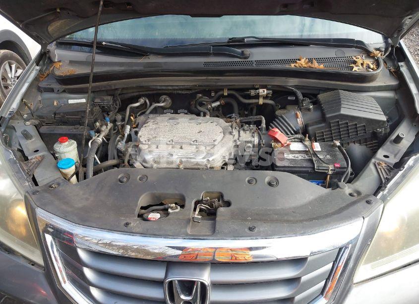 Photo 10 of 2009 Honda Odyssey EX-L (VIN 5FNRL38689B406860)