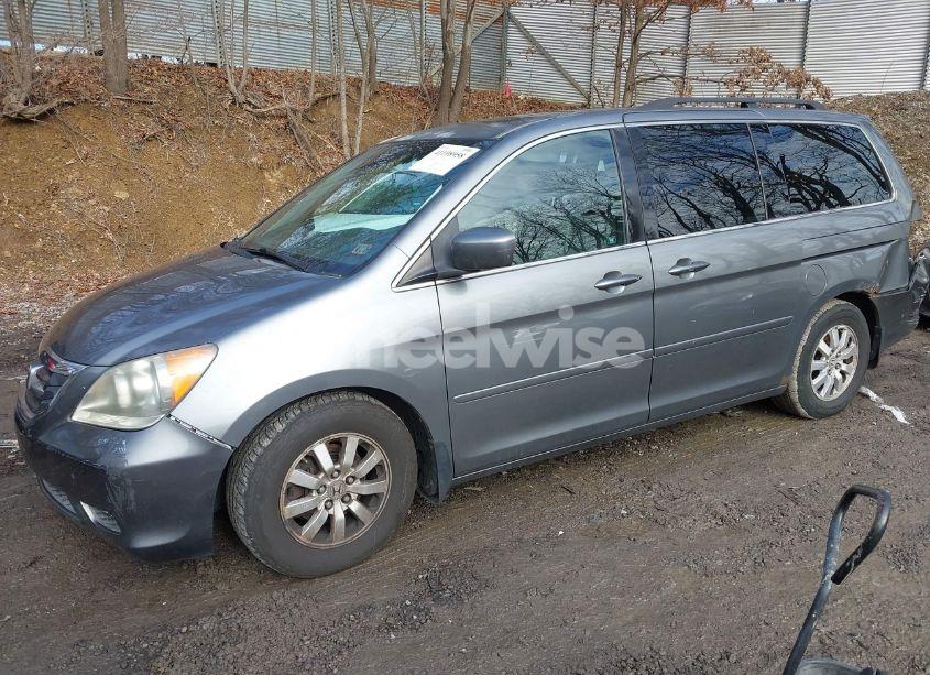 Photo 2 of 2009 Honda Odyssey EX-L (VIN 5FNRL38689B406860)