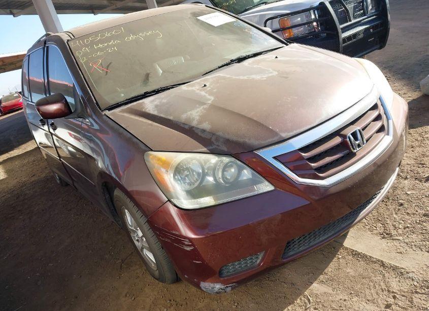 2009 Honda Odyssey EX-L (VIN 5FNRL38689B410715) main photo