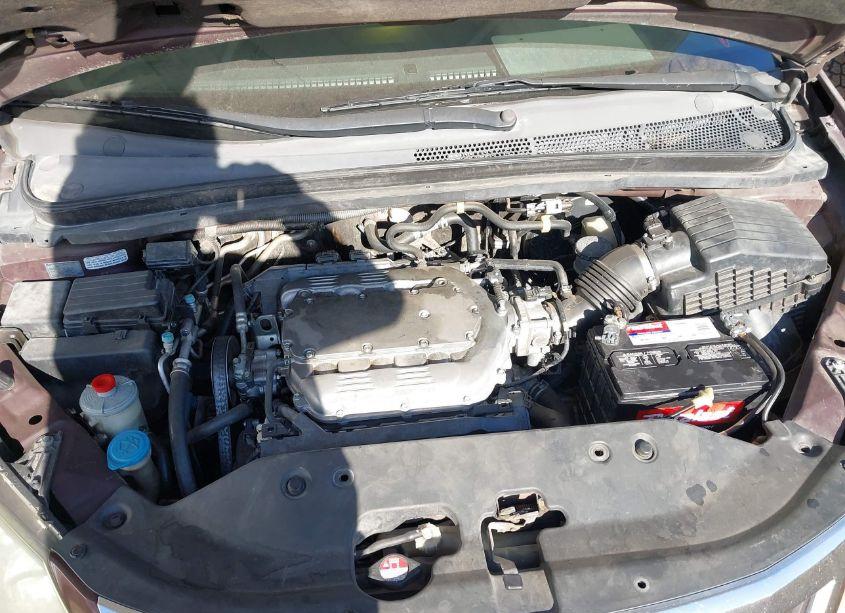 Photo 10 of 2009 Honda Odyssey EX-L (VIN 5FNRL38689B410715)