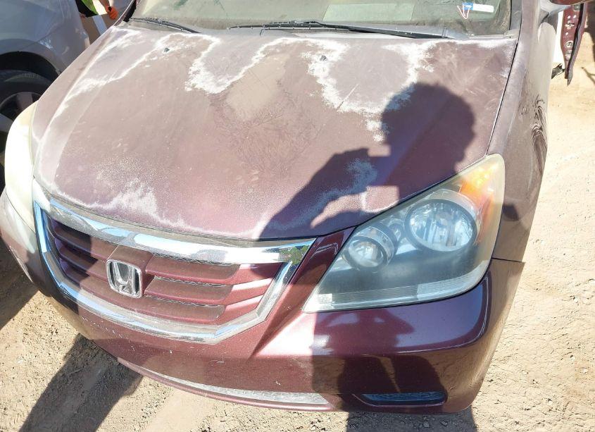 Photo 6 of 2009 Honda Odyssey EX-L (VIN 5FNRL38689B410715)