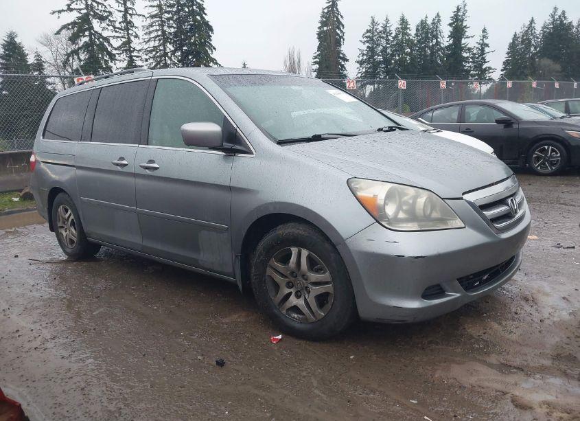 2005 Honda Odyssey EX-L (VIN 5FNRL38695B038098) main photo