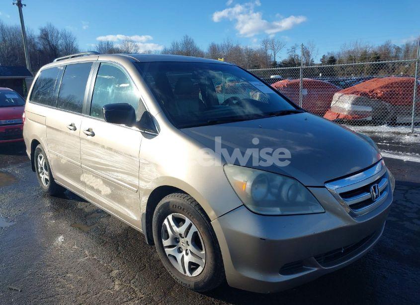 2005 Honda Odyssey EX-L (VIN 5FNRL38695B041275) main photo