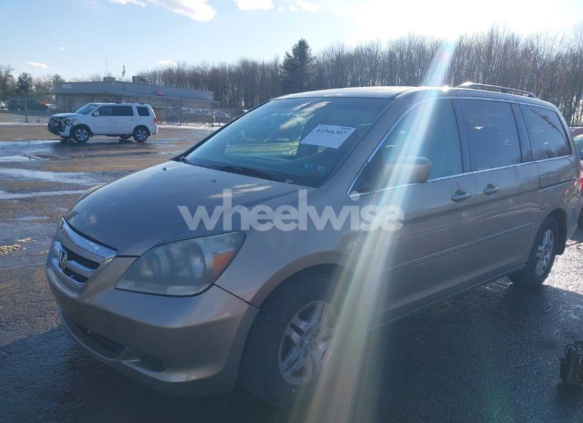 Photo 2 of 2005 Honda Odyssey EX-L (VIN 5FNRL38695B041275)