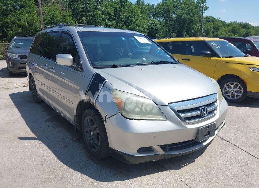2005 Honda Odyssey EX-L (VIN 5FNRL38695B411320) main photo
