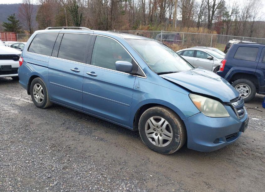 2006 Honda Odyssey EX-L (VIN 5FNRL38696B031072) main photo