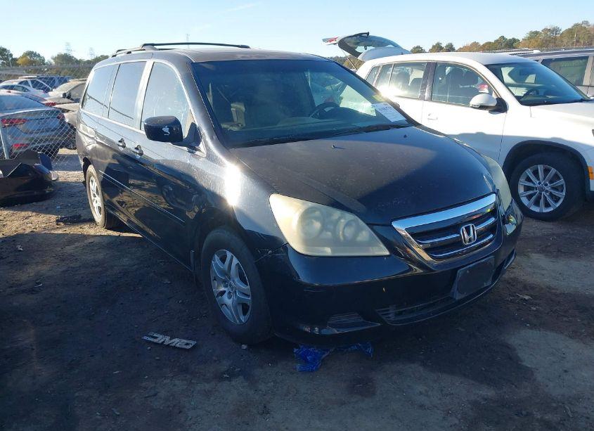 2006 Honda Odyssey EX-L (VIN 5FNRL38696B454251) main photo