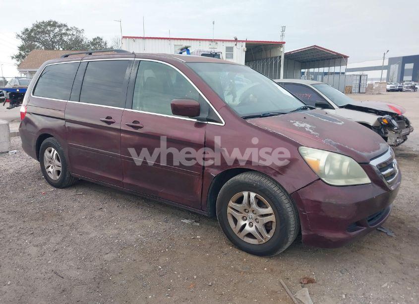 2007 Honda Odyssey EX-L (VIN 5FNRL38697B439492) main photo