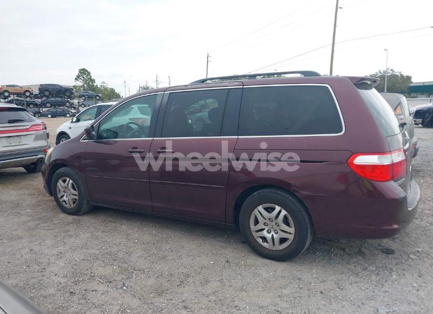 Photo 15 of 2007 Honda Odyssey EX-L (VIN 5FNRL38697B439492)