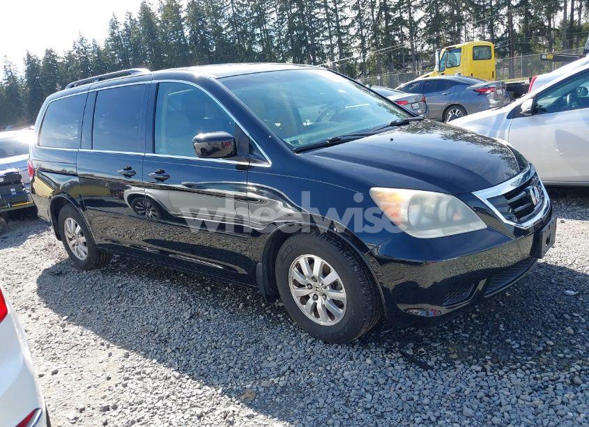 2008 Honda Odyssey EX-L (VIN 5FNRL38698B066181) main photo