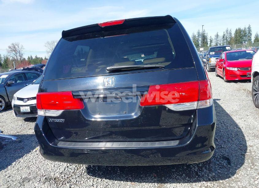 Photo 17 of 2008 Honda Odyssey EX-L (VIN 5FNRL38698B066181)