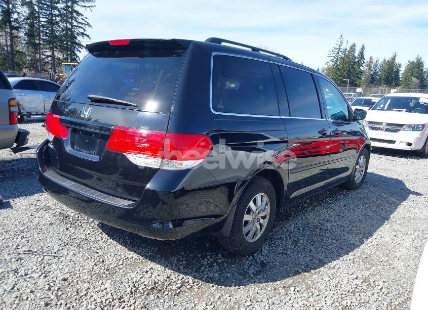 Photo 4 of 2008 Honda Odyssey EX-L (VIN 5FNRL38698B066181)