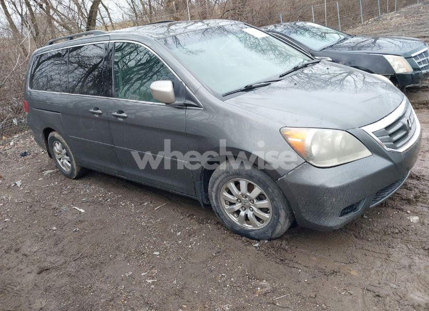 2008 Honda Odyssey EX-L (VIN 5FNRL38698B403626) main photo