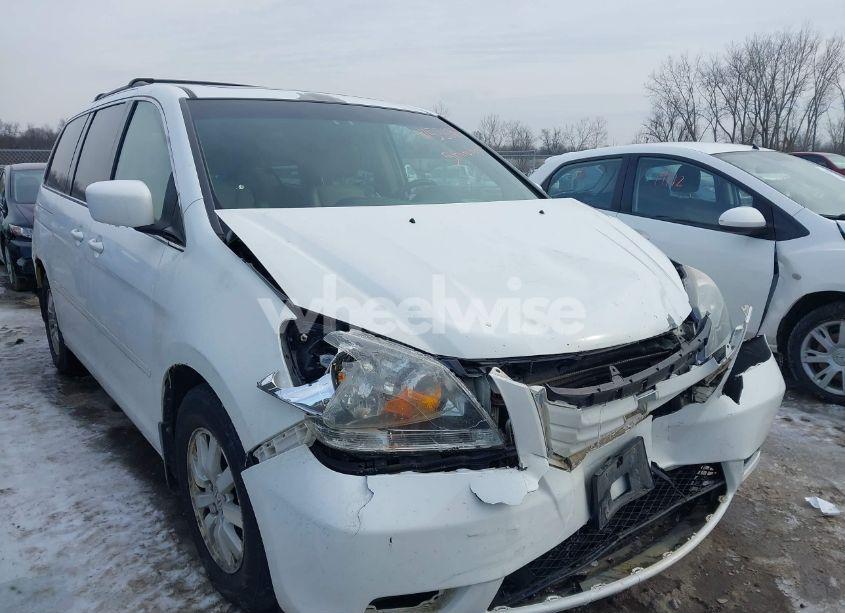 2008 Honda Odyssey EX-L (VIN 5FNRL38698B406025) main photo