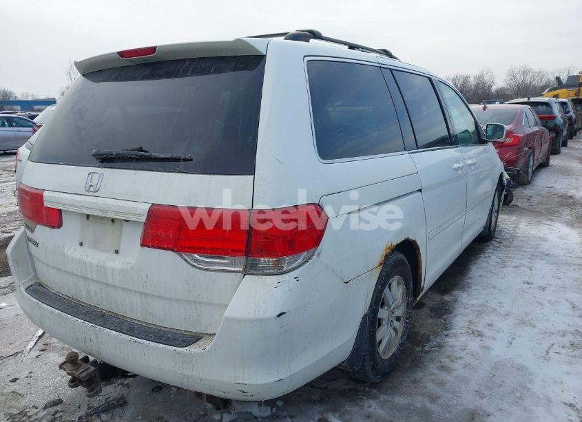 Photo 4 of 2008 Honda Odyssey EX-L (VIN 5FNRL38698B406025)
