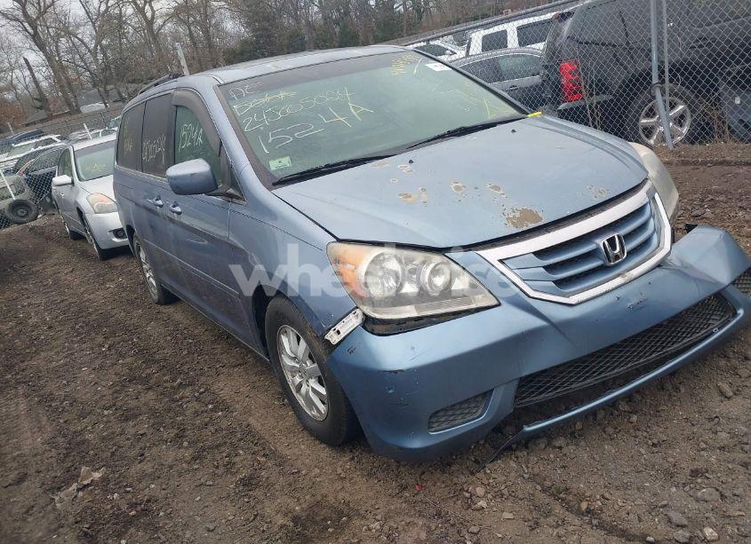 2009 Honda Odyssey EX-L (VIN 5FNRL38699B029956) main photo