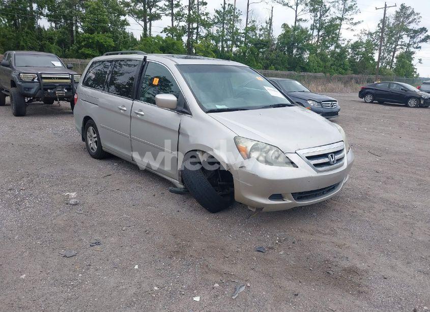 2005 Honda Odyssey EX-L (VIN 5FNRL386X5B411682) main photo