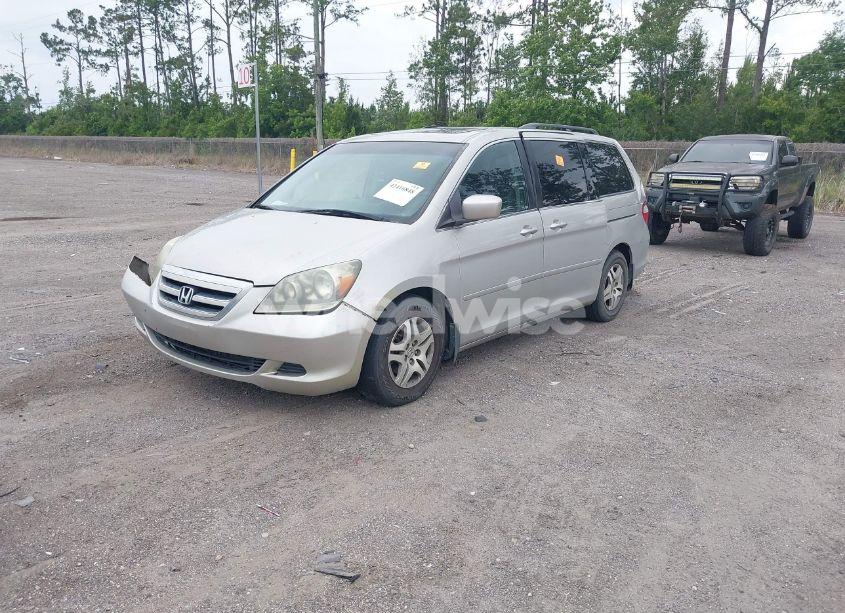Photo 2 of 2005 Honda Odyssey EX-L (VIN 5FNRL386X5B411682)