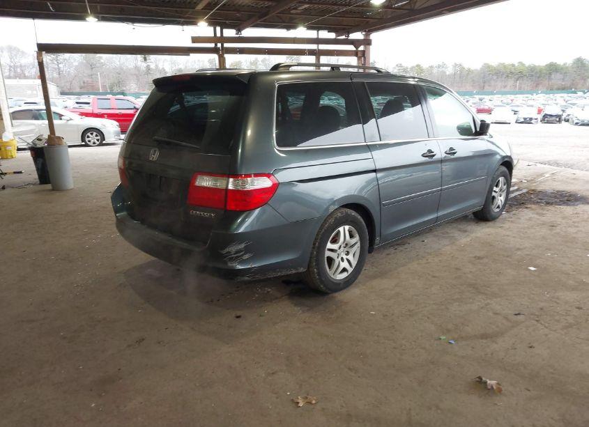 Photo 4 of 2005 Honda Odyssey EX-L (VIN 5FNRL386X5B424352)