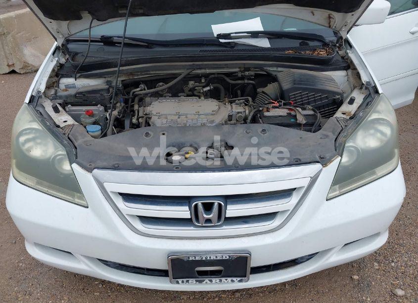 Photo 10 of 2006 Honda Odyssey EX-L (VIN 5FNRL386X6B042310)