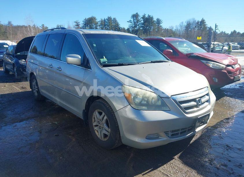 2007 Honda Odyssey EX-L (VIN 5FNRL386X7B423835) main photo