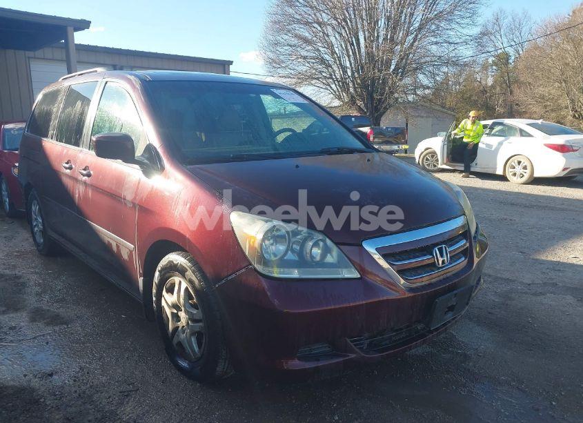 2007 Honda Odyssey EX-L (VIN 5FNRL386X7B441297) main photo