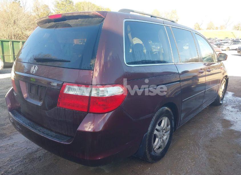 Photo 4 of 2007 Honda Odyssey EX-L (VIN 5FNRL386X7B441297)