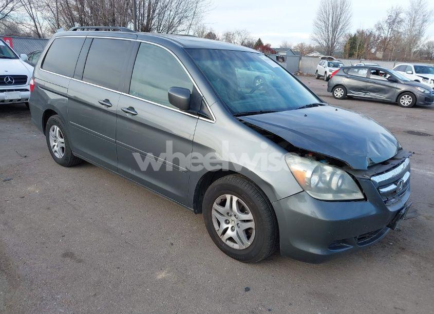 2007 Honda Odyssey EX-L (VIN 5FNRL386X7B448752) main photo