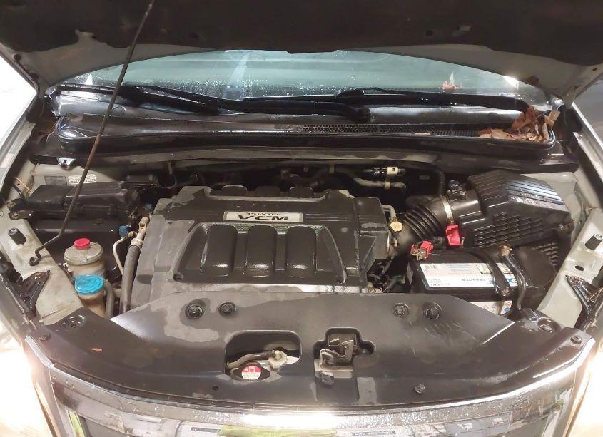 Photo 10 of 2008 Honda Odyssey EX-L (VIN 5FNRL386X8B051012)