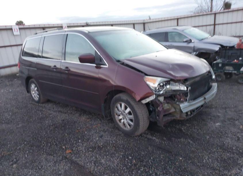 2009 Honda Odyssey EX-L (VIN 5FNRL386X9B021557) main photo