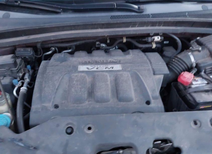 Photo 10 of 2009 Honda Odyssey EX-L (VIN 5FNRL386X9B021557)