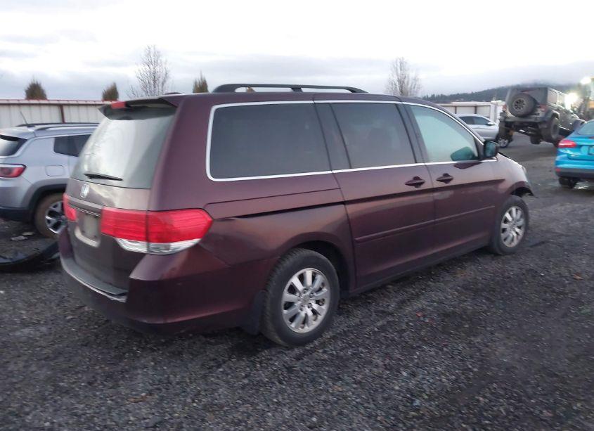 Photo 4 of 2009 Honda Odyssey EX-L (VIN 5FNRL386X9B021557)
