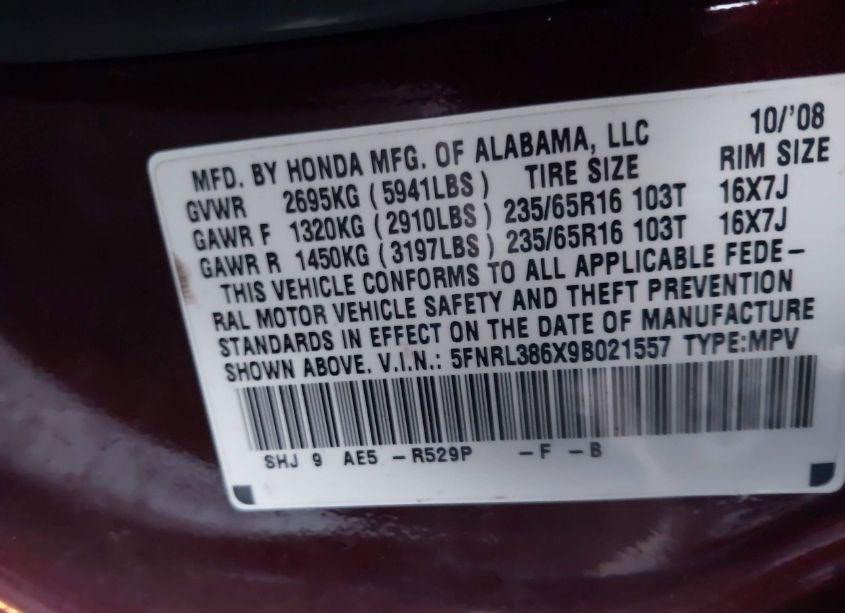 Photo 9 of 2009 Honda Odyssey EX-L (VIN 5FNRL386X9B021557)