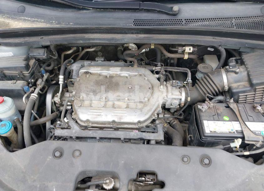 Photo 10 of 2009 Honda Odyssey EX-L (VIN 5FNRL386X9B033546)