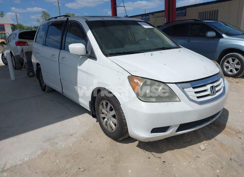 2009 Honda Odyssey EX-L (VIN 5FNRL386X9B056552) main photo