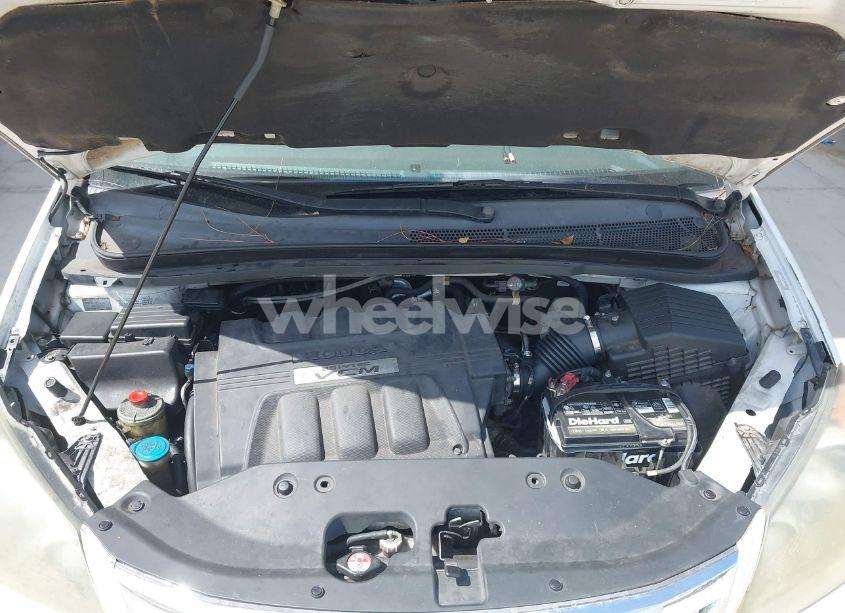 Photo 10 of 2009 Honda Odyssey EX-L (VIN 5FNRL386X9B056552)