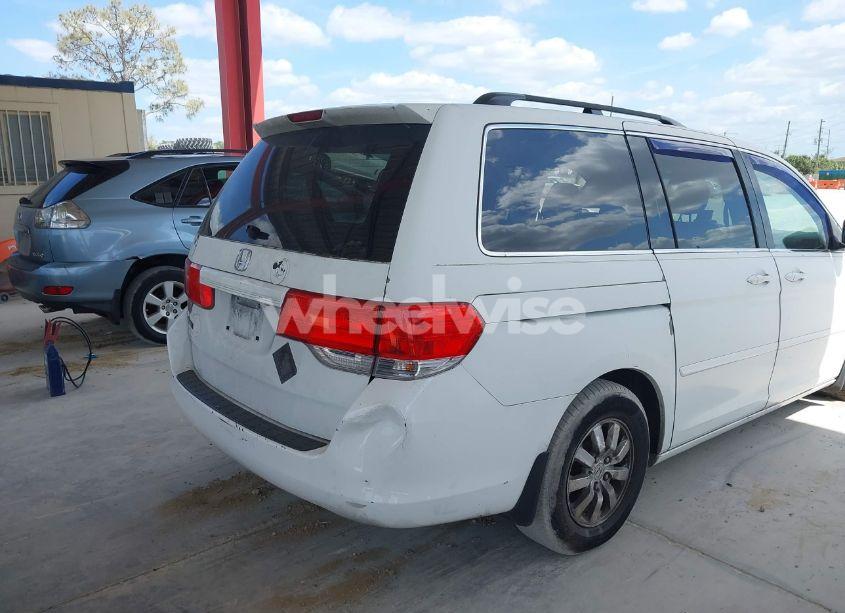 Photo 6 of 2009 Honda Odyssey EX-L (VIN 5FNRL386X9B056552)