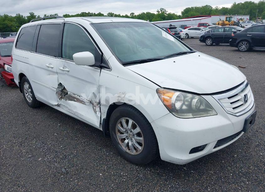 2009 Honda Odyssey EX-L (VIN 5FNRL386X9B407363) main photo