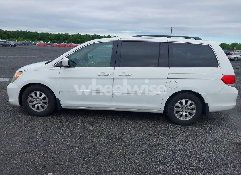 Photo 14 of 2009 Honda Odyssey EX-L (VIN 5FNRL386X9B407363)