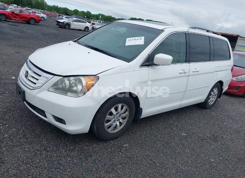 Photo 2 of 2009 Honda Odyssey EX-L (VIN 5FNRL386X9B407363)