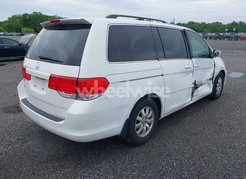 Photo 4 of 2009 Honda Odyssey EX-L (VIN 5FNRL386X9B407363)