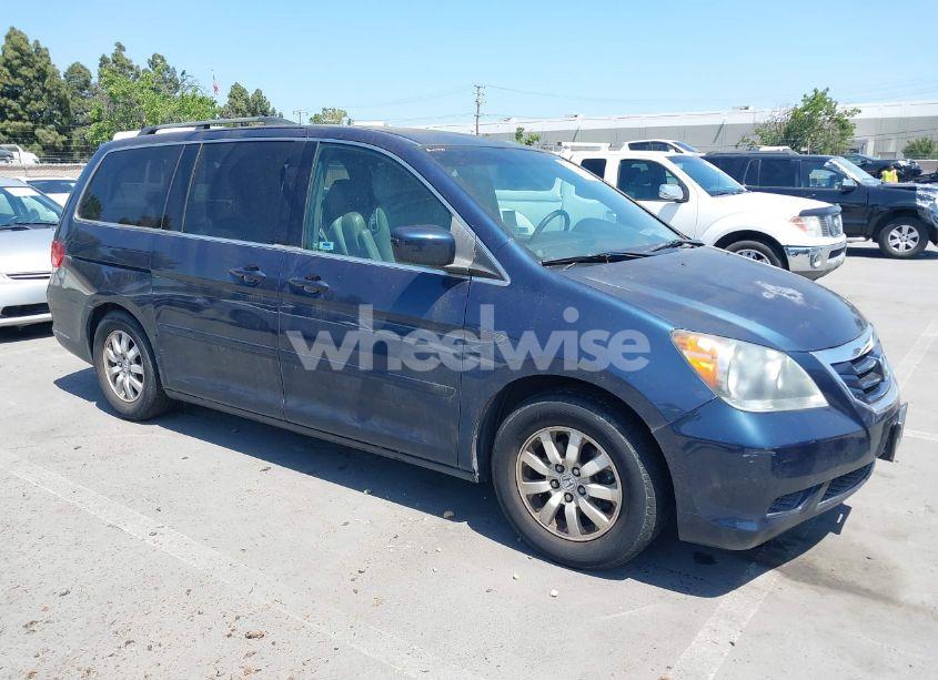 2009 Honda Odyssey EX-L (VIN 5FNRL386X9B409419) main photo
