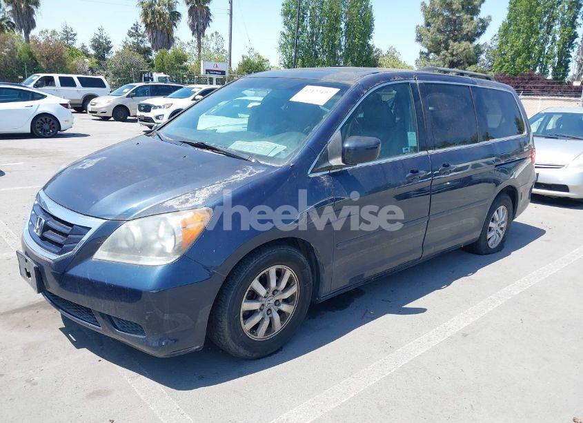 Photo 2 of 2009 Honda Odyssey EX-L (VIN 5FNRL386X9B409419)