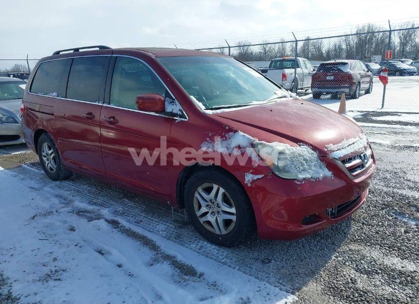 2005 Honda Odyssey EX-L (VIN 5FNRL38705B049029) main photo
