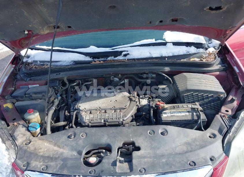 Photo 10 of 2005 Honda Odyssey EX-L (VIN 5FNRL38705B049029)