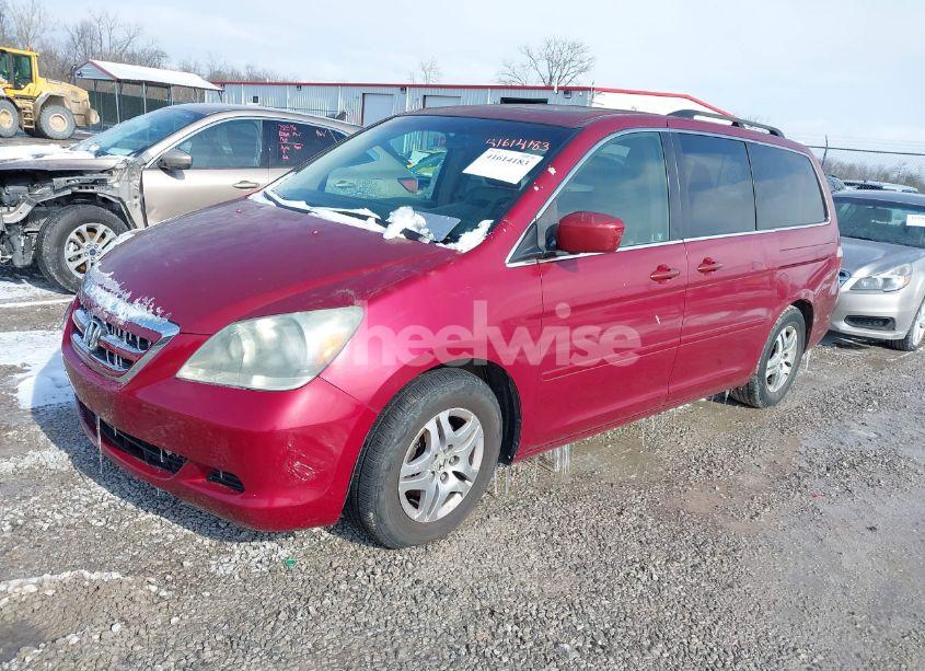 Photo 2 of 2005 Honda Odyssey EX-L (VIN 5FNRL38705B049029)