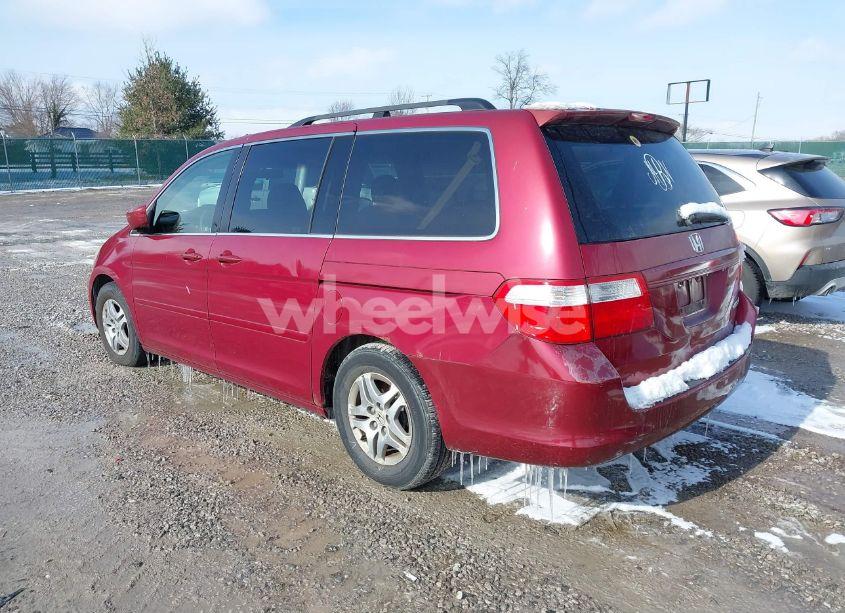 Photo 3 of 2005 Honda Odyssey EX-L (VIN 5FNRL38705B049029)