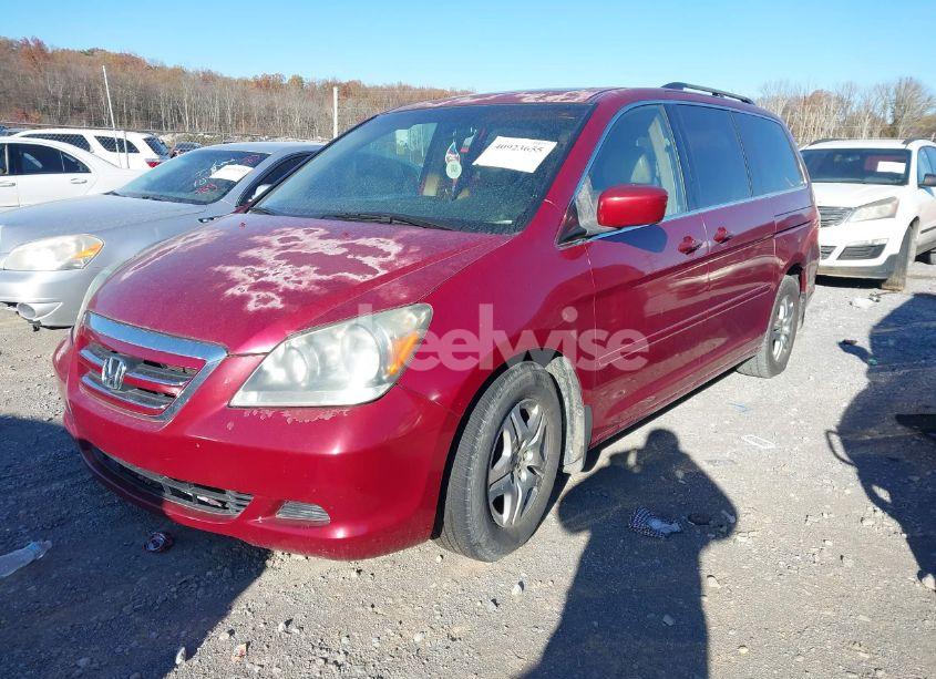 Photo 2 of 2005 Honda Odyssey EX-L (VIN 5FNRL38705B063531)