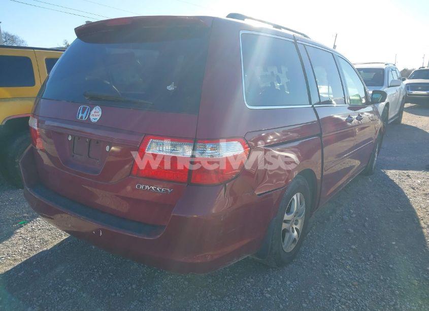 Photo 4 of 2005 Honda Odyssey EX-L (VIN 5FNRL38705B063531)